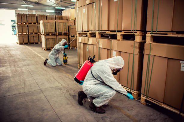 Best Affordable Pest Control Services  in Unadilla, GA