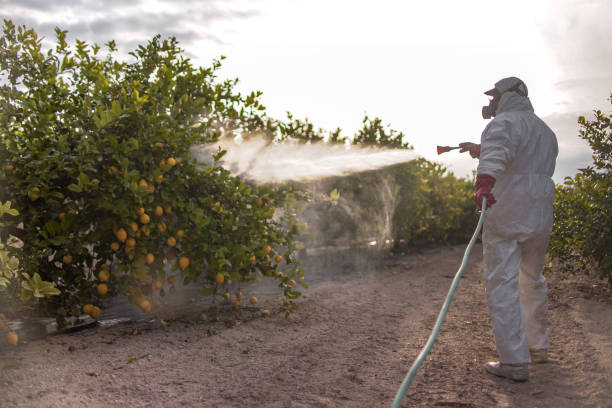 Professional Pest Control in Unadilla, GA