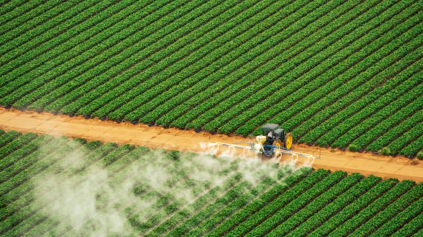 Best Mosquito Control Services  in Unadilla, GA