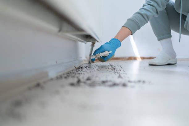 Best Best Pest Control Companies  in Unadilla, GA